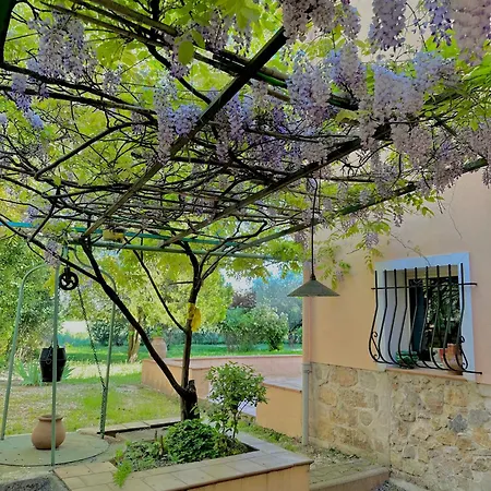 écrin De Nature , Centre-ville Et Campagne, 2 Chambres, Grand Jardin, En Provence Verte